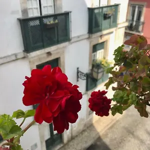 In The Heart Of Lissabon
